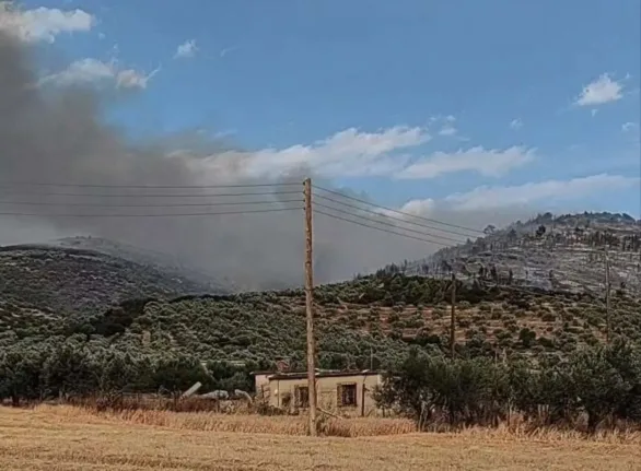 Σπαθοβούνι Κορινθίας: Χωρίς ενεργό μέτωπο η φωτιά