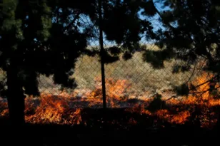 Πέταξαν τα τσιγάρα και άναψαν φωτιές: Πρόστιμα 2.578 ευρώ σε δύο άτομα