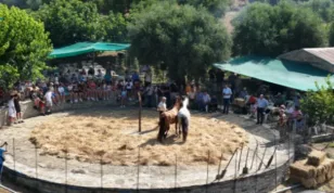 Αναπαράσταση του αλωνίσματος στο Τρίκορφο Ναυπακτίας με ιερέα από το Ντιτρόιτ! ΒΙΝΤΕΟ