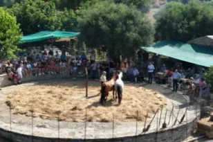 Αναπαράσταση του αλωνίσματος στο Τρίκορφο Ναυπακτίας με ιερέα από το Ντιτρόιτ! ΒΙΝΤΕΟ