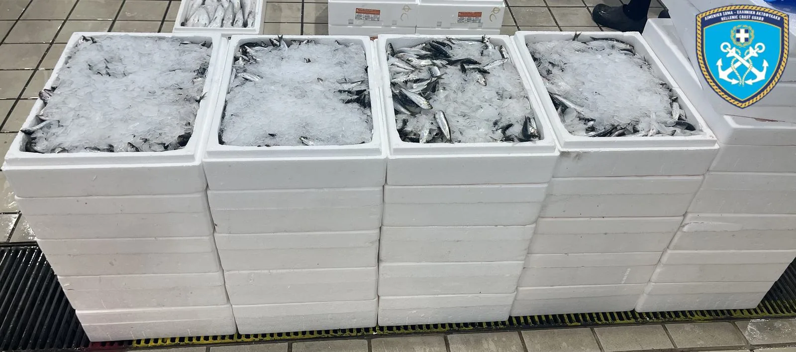 «Μπλόκο» σε πάνω από 350 κιλά ψάρια στη Θεσσαλονίκη – Τι βρήκε το Λιμενικό