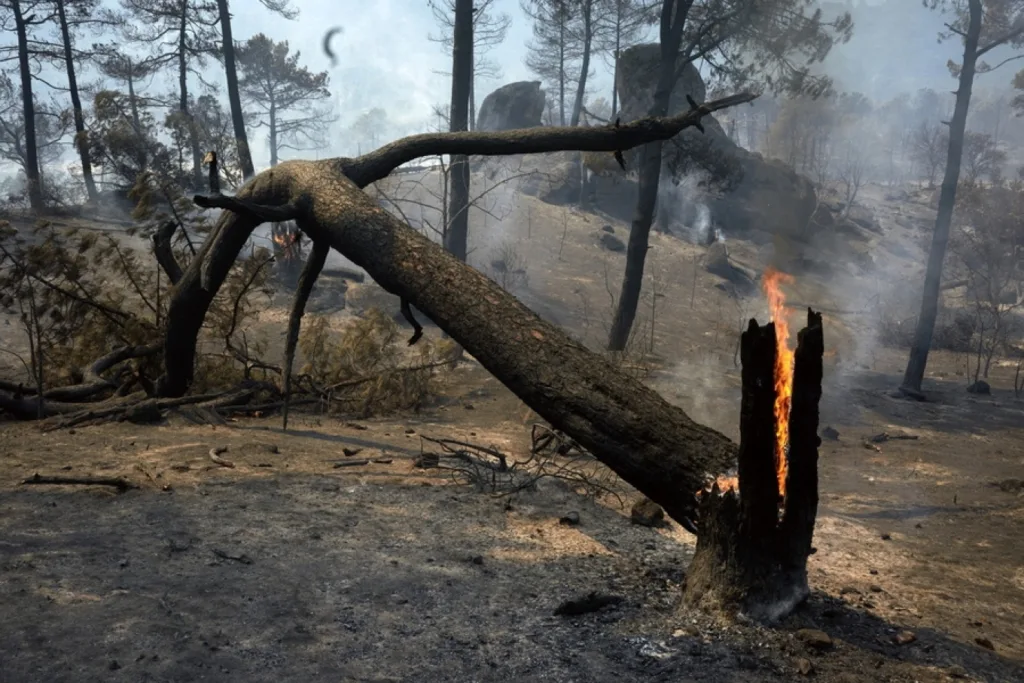 Συνεχίζεται ο εφιάλτης με τις φωτιές σε Γαλλία και Ισπανία – 325.000 εκκενώσεις, οι φλόγες πλησιάζουν το Μπορντό Συνεχίζεται ο εφιάλτης με τις φωτιές σε Γαλλία και Ισπανία – 325.000 εκκενώσεις, οι φλόγες πλησιάζουν το Μπορντό