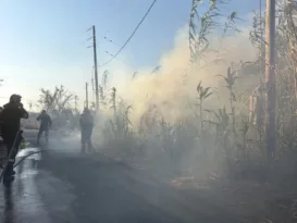 Καλαμάτα: Άμεση κατάσβεση σε δύο μέτωπα φωτιάς σε Αριοχώρι και Ακοβίτικα