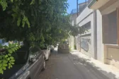 Τα κλαδιά στην Πλατεία Παπαφλέσσα