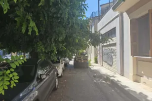 Τα κλαδιά στην Πλατεία Παπαφλέσσα