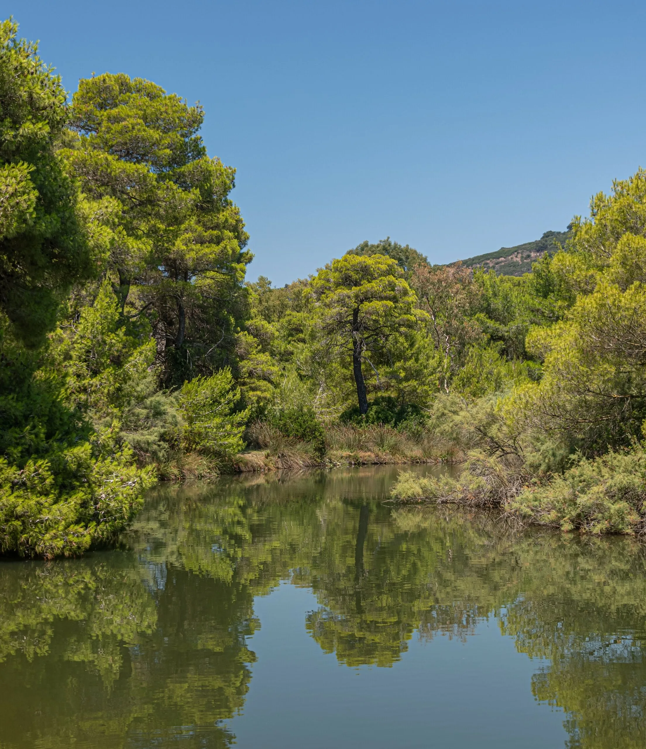 Αμμώδης παραλία με γαλαζοπράσινα νερά στη Λακκόπετρα Αχαΐας