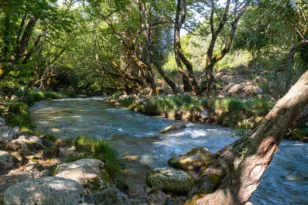 Μαγιό στο βουνό: Η πιο δροσερή διαδρομή της Πελοποννήσου ξεκινά από την Πάτρα