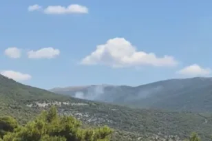 Φωτιά στα Βίλια Αττικής: Μεγάλη κινητοποίηση της Πυροσβεστικής για πυρκαγιά σε δασική έκταση