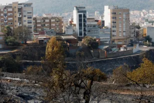 Ισπανία: Άρθηκε η εντολή εκκένωσης σε 13 κοινότητες μετά τις καταστροφικές πυρκαγιές