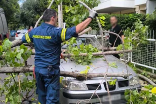 Το μπουρίνι διέλυσε δέντρο στο Μενίδι, το οποίο...προσγειώθηκε σε αυτοκίνητο, ΦΩΤΟ