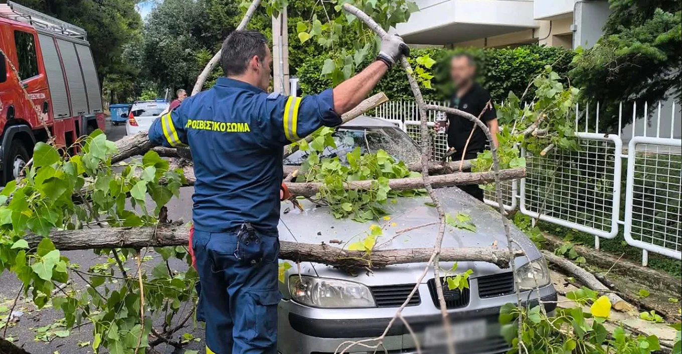 Το μπουρίνι διέλυσε δέντρο στο Μενίδι, το οποίο...προσγειώθηκε σε αυτοκίνητο, ΦΩΤΟ Το μπουρίνι διέλυσε δέντρο στο Μενίδι, το οποίο...προσγειώθηκε σε αυτοκίνητο, ΦΩΤΟ