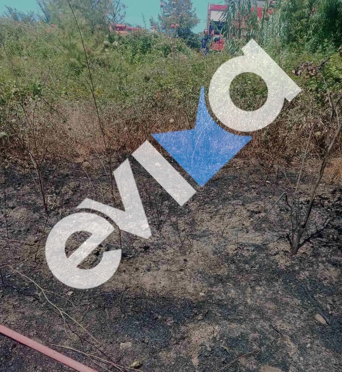 Φωτιά τώρα στην Εύβοια: Νέα εστία κοντά στο Μαντούδι – Στο σημείο η Πυροσβεστική Φωτιά τώρα στην Εύβοια: Νέα εστία κοντά στο Μαντούδι – Στο σημείο η Πυροσβεστική