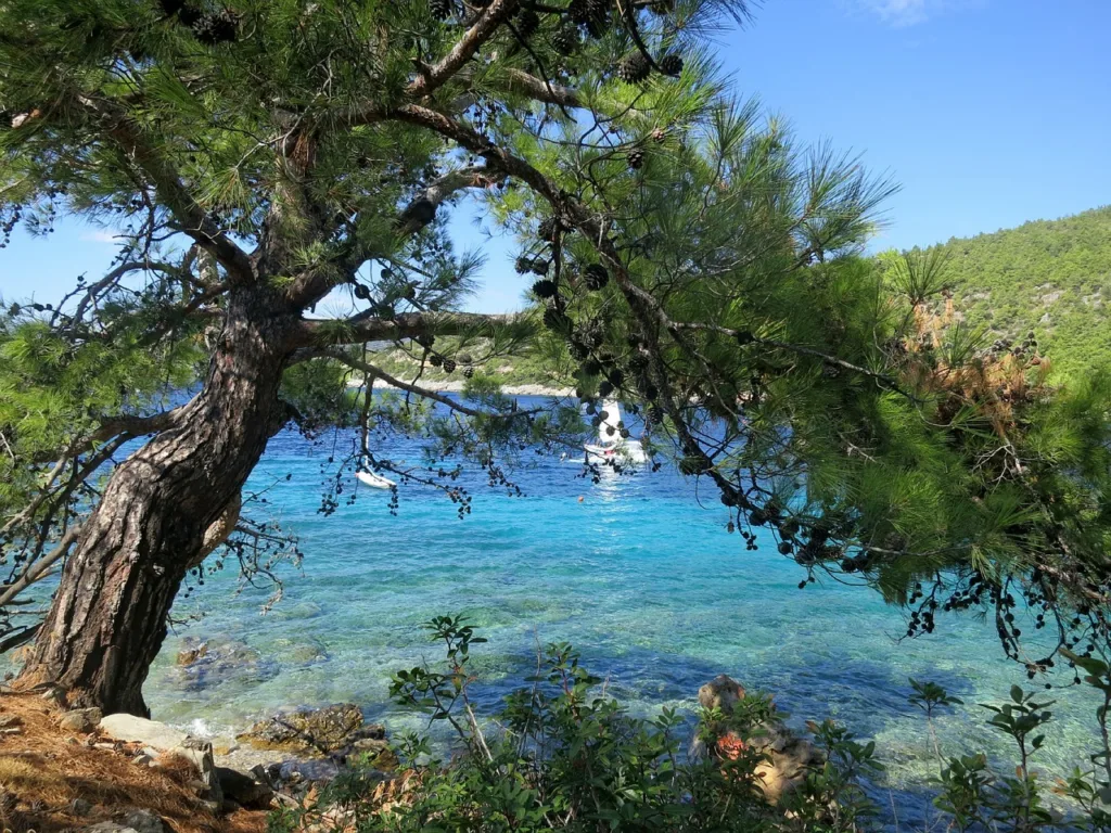 Διακοπές με... κομπιουτεράκι: Πώς η ακρίβεια αλλάζει το ελληνικό καλοκαίρι Διακοπές με... κομπιουτεράκι: Πώς η ακρίβεια αλλάζει το ελληνικό καλοκαίρι