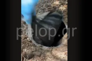 Πάτρα: Δείτε που έκρυβαν ναρκωτικά μέσα στο δάσος – Η καβάτζα της σπείρας ΒΙΝΤΕΟ!