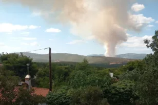 Οινόη Αττικής: Εσταλη μήνυμα 112 σε κατοίκους, ενισχυθήκαν οι δυνάμεις για την φωτιά