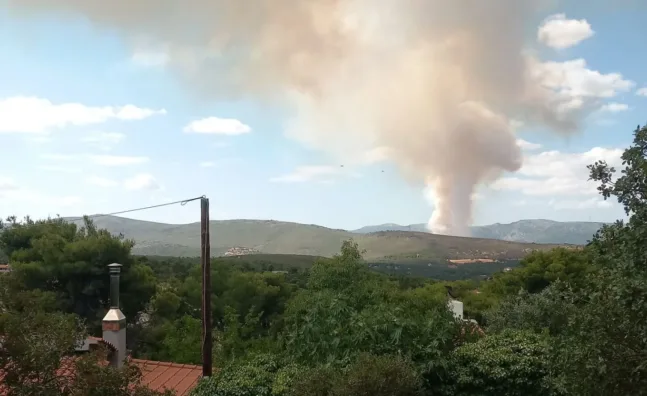 Μαρτυρίες ότι ξεκίνησε από πεταμένο τσιγάρο η φωτιά στην Οινόη