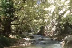 Καλάβρυτα: Νέο αρδευτικό δίκτυο για 2.200 στρέμματα σε Ψωφίδα και Σειρές
