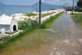 Πάτρα: Φόλες, δυσοσμία και εγκατάλειψη