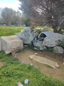 Πάτρα: Φόλες, δυσοσμία και εγκατάλειψη Πάτρα: Φόλες, δυσοσμία και εγκατάλειψη