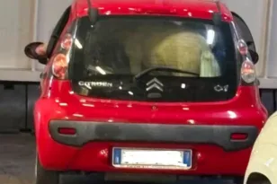 Σάλος στην Ιταλία: Πόνυ ταξίδεψε κλεισμένο στο πορτμπαγκάζ μικρού αυτοκινήτου μέσα σε φέρι μποτ ΒΙΝΤΕΟ