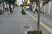 Πράσινο στον πεζόδρομο της Μαιζώνος