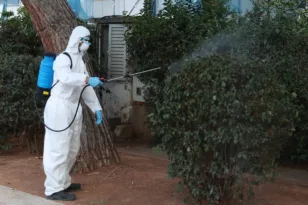 Συναγερμός στη Γλυφάδα: Επιβεβαιώθηκε κρούσμα του ιού του Δυτικού Νείλου – Eκτακτοι ψεκασμοί