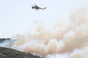 Φωτιά στην Ευκαρπία: Συνελήφθη 51χρονος για πρόκληση πυρκαγιάς από αμέλεια