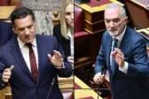 «Το ChatGPT τα έκανε σαλάτα»: Το έγγραφο που έφερε στα άκρα Γεωργιάδη και Σαλμά