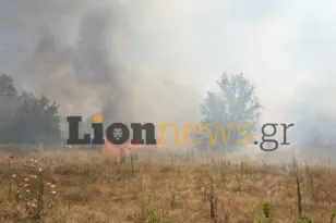 Φωτιά στις Σέρρες: Μήνυμα 112 για εκκένωση της Οινούσσας – Απειλούνται σπίτια και επιχειρήσεις