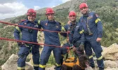 Άνδρες της 6ης ΕΜΑΚ «βούτηξαν» σε χαράδρα 30 μ. στο Παναχαϊκό και διέσωσαν την πανέμορφη «Βούλα», ΦΩΤΟ