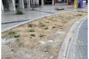 Πάτρα: Σύντομα νέες φυτεύσεις στην ξέρα του κάτω μέρους της πλατείας Γεωργίου