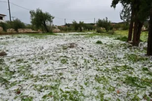 Σφυροκοπά τα Γρεβενά η κακοκαιρία: Χαλάζι σε μέγεθος κορόμηλου – Ζημιές σε καλλιέργειες και αυτοκίνητα