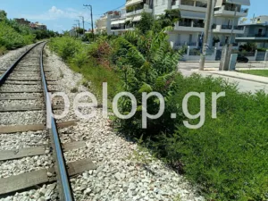 Πάτρα: Στις γραμμές του τρένου παράλληλα στην Αθηνών έχουν φουντώσει καλαμιές και βάτα, σκηνικό μικρής «ζόυγκλας», ποιος θα αναλάβει τον καθαρισμό; ΒΙΝΤΕΟ
