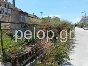 Πάτρα: Στις γραμμές του τρένου παράλληλα στην Αθηνών έχουν φουντώσει καλαμιές και βάτα, σκηνικό μικρής «ζόυγκλας», ποιος θα αναλάβει τον καθαρισμό; ΒΙΝΤΕΟ