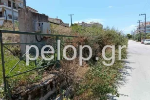 Πάτρα: Στις γραμμές του τρένου παράλληλα στην Αθηνών έχουν φουντώσει καλαμιές και βάτα, σκηνικό μικρής «ζόυγκλας», ποιος θα αναλάβει τον καθαρισμό; ΒΙΝΤΕΟ