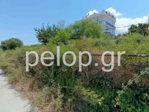 Πάτρα: Στις γραμμές του τρένου παράλληλα στην Αθηνών έχουν φουντώσει καλαμιές και βάτα, σκηνικό μικρής «ζόυγκλας», ποιος θα αναλάβει τον καθαρισμό; ΒΙΝΤΕΟ