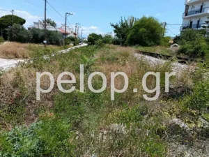 Πάτρα: Στις γραμμές του τρένου παράλληλα στην Αθηνών έχουν φουντώσει καλαμιές και βάτα, σκηνικό μικρής «ζόυγκλας», ποιος θα αναλάβει τον καθαρισμό; ΒΙΝΤΕΟ