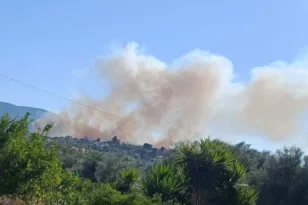 Αιγιάλεια: Φωτιά πάνω από την Ακολη – Μεγάλη κινητοποίηση της Πυροσβεστικής