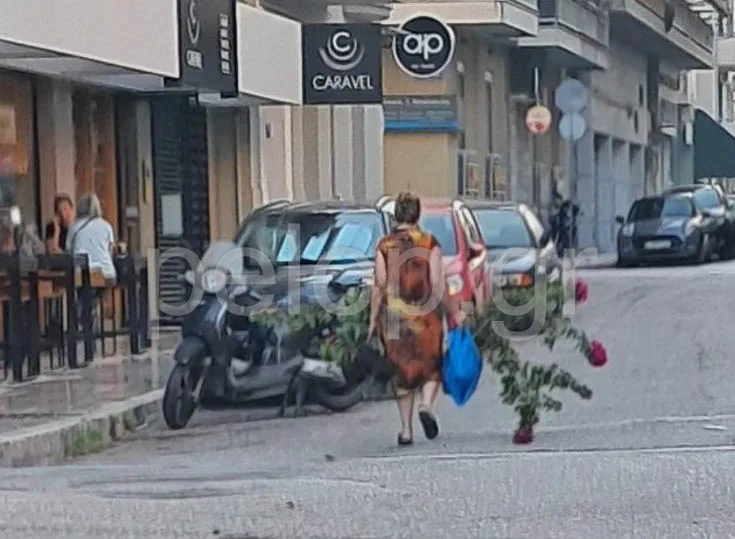 Πάτρα: Ξερίζωσε τριανταφυλλιές από τα Ψηλαλώνια και έφυγε ατάραχη! ΦΩΤΟ Πάτρα: Ξερίζωσε τριανταφυλλιές από τα Ψηλαλώνια και έφυγε ατάραχη! ΦΩΤΟ