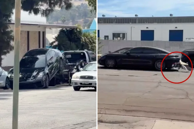 Porsche στο Λος Άντζελες επιχειρεί να απομακρυνθεί ενώ είναι συνδεδεμένη σε γερανό ρυμούλκησης