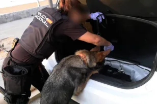 Ισπανία: Το κύκλωμα των 24 εκατ. ευρώ – Ναρκωτικά στο ένα δρομολόγιο, μετανάστες στην επιστροφή