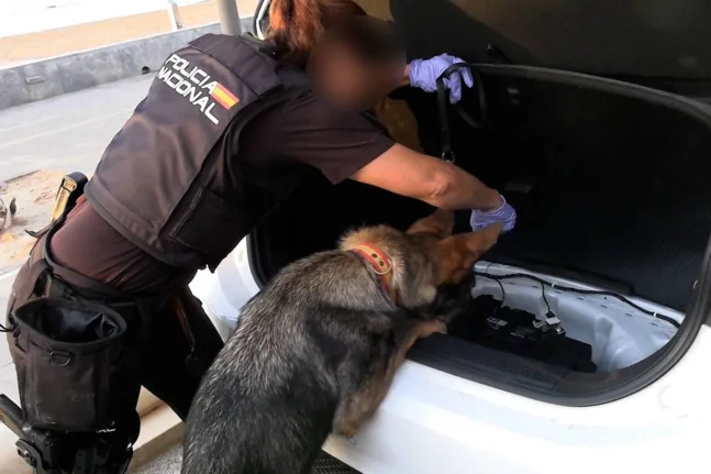 Ισπανική αστυνομική επιχείρηση για κύκλωμα διακίνησης μεταναστών και ναρκωτικών στη Μεσόγειο