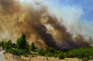 Φωτιά τώρα στο Βαρθολομιό: Ήχησε το 112 – Σηκώθηκαν τέσσερα εναέρια μέσα
