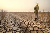 El Niño commodities Rabobank