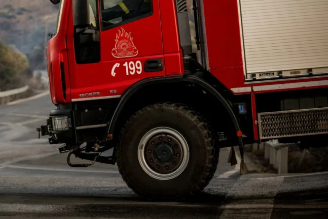 Φωτιά τώρα στη Στεφάνη Βοιωτίας – Καίει δασική έκταση