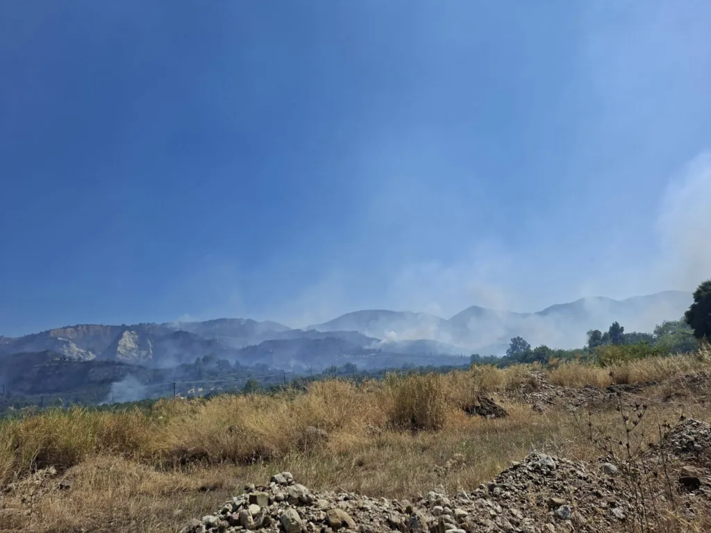 Επιμελητήριο Αχαΐας: Στο πλευρό των πληγέντων της Δυτικής Αιγιάλειας – Αυτοψία στις περιοχές που επλήγησαν από τη μεγάλη πυρκαγιά Επιμελητήριο Αχαΐας: Στο πλευρό των πληγέντων της Δυτικής Αιγιάλειας – Αυτοψία στις περιοχές που επλήγησαν από τη μεγάλη πυρκαγιά