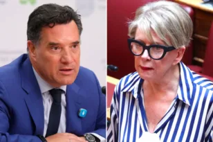 Γεωργιάδης – Ακρίτα: Νέα πολιτική κόντρα με φόντο τη Μαντόνα