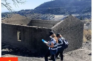 Δυτική Αχαΐα: Επτά κτίσματα με ζημιές από τη φωτιά στο Φλόκα – Στον δρόμο οι αποζημιώσεις