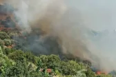 Αιγιάλεια: 112 για εκκένωση τεσσάρων περιοχών - Ενισχύθηκαν οι δυνάμεις στις Νεραντζιές, στις φλόγες σπίτι, αποθήκες και ελαιόδεντρα ΒΙΝΤΕΟ ΣΥΝΕΧΗΣ ΕΝΗΜΕΡΩΣΗ