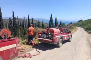 Δήμος Αιγιαλείας: Σε πλήρη εξέλιξη οι διαδικασίες καταγραφής και αποκατάστασης των ζημιών από την πυρκαγιά